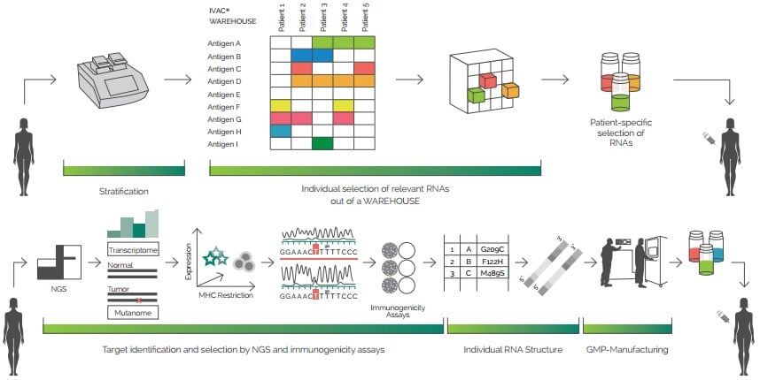 Figure 1. The mechanism of IVAC