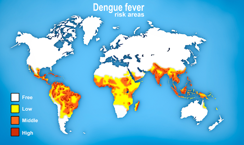 Figure 2. Dengvaxia would be most beneficial in red areas.