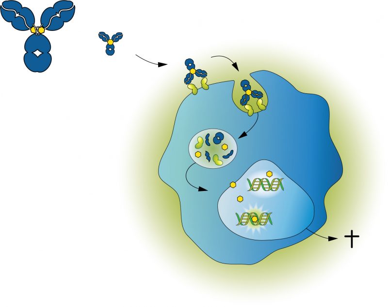 ADC Therapeutics technology