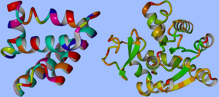 Bywater and Middleton described the songs of these proteins in their paper.