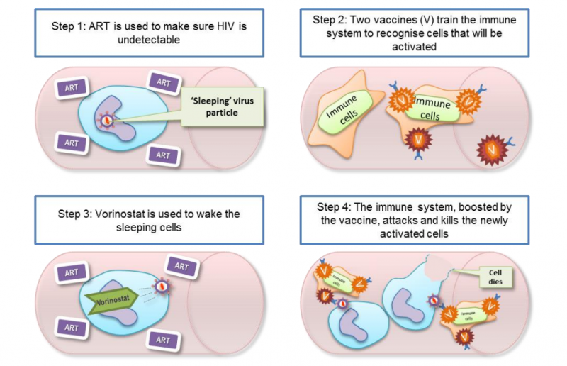 New HIV Cure Approach