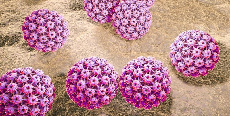 Hookipa works on an HPV vaccine