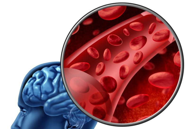 Mavalon Therapeutics blood-brain barrier