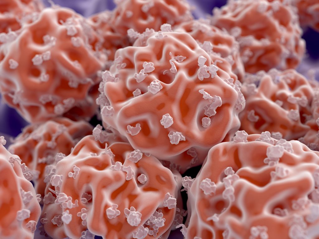 stem-cells-juan-gaertner-small