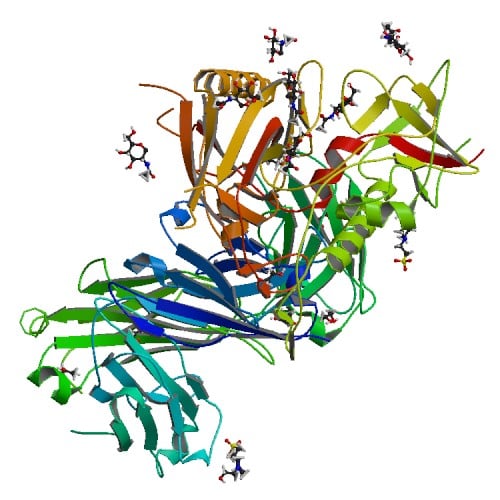 N6 Antibody bound to HIV