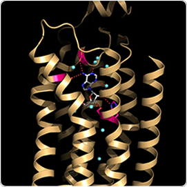 Heptares GPCR