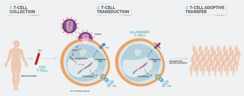 Celyad allogeneic platform