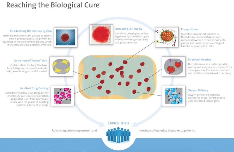 current research into type 1 diabetes