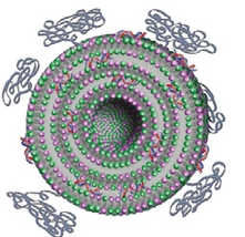 Silence Therapeutics Lipoplex technology