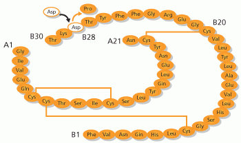 insulin_aspart_structural_formula