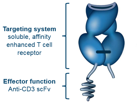 Immunocore ImmTACs