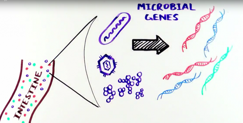 Enterome Metagenomics