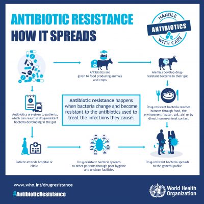 antibiotic-resistance-spreads-who