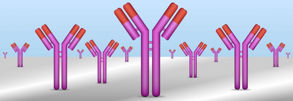 antibodies adc review extender 01 fi