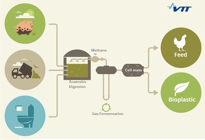 biogas-metanotrophic-bacteria-bioplastic-feed