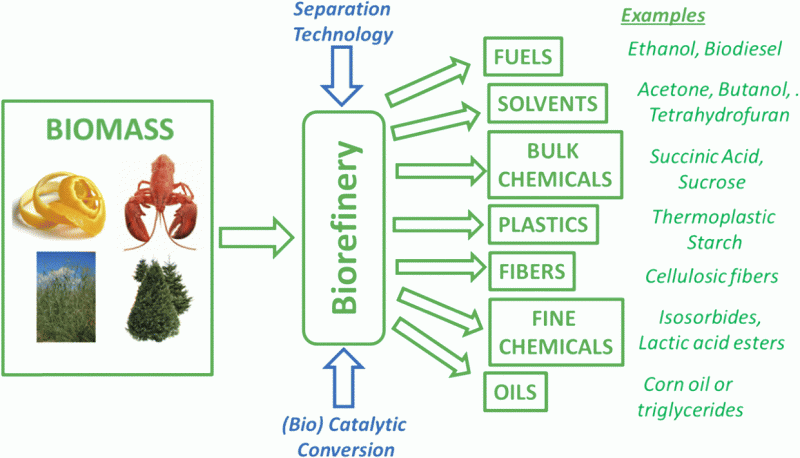 biorefinery-diagram-concept-biomass-biobased