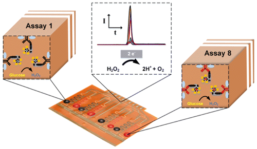 biosensor-microfluidics-antibiotic-resistance-freiburg