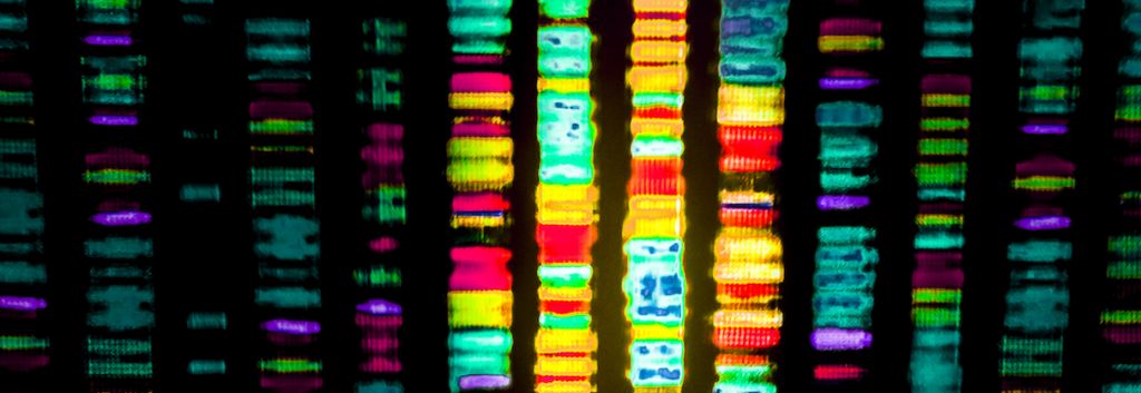 gene sequencing Gio.tto fi