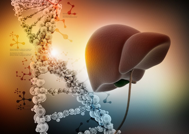 liver-dna-interphasesolution-small