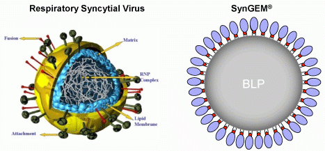 mucosis rsv syngem