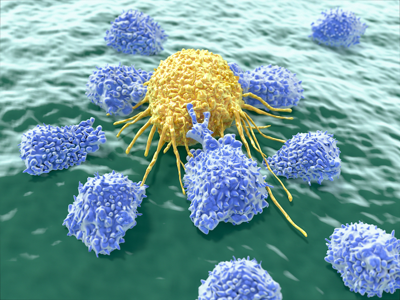 T cells attacking a cancer cell