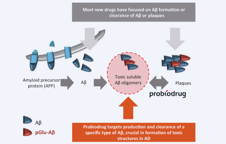 Probiodrug Alzheimers