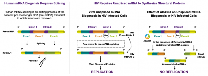 Abivax ABX464 Medical Biotechnology