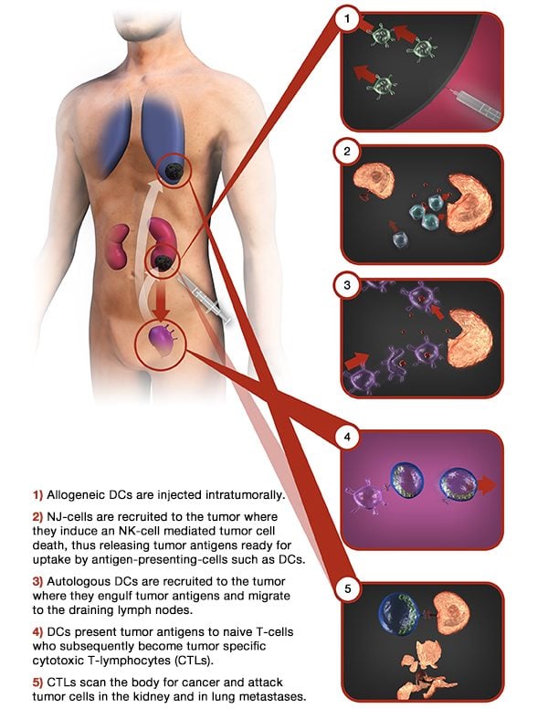 immunicum intuvax