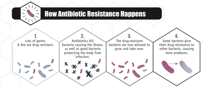 AiCuris antibiotic resistance