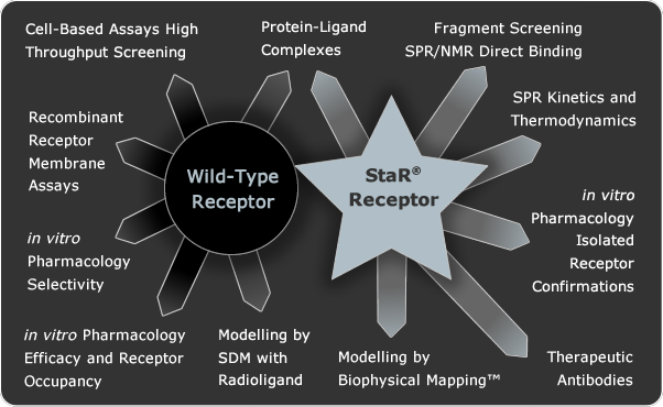 heptares therapeutics star gpcr receptor