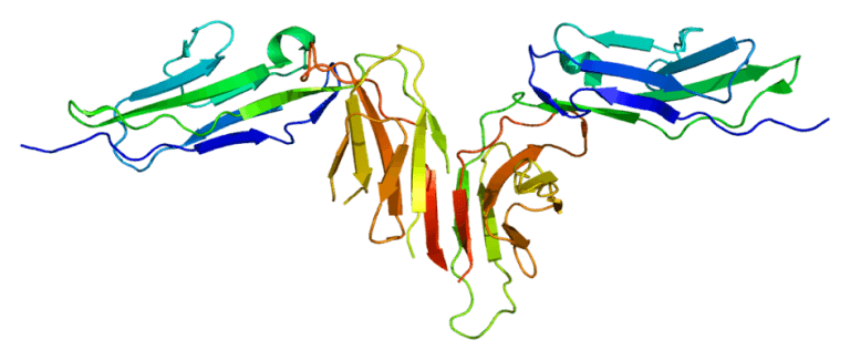 Acticor biotech fundraising stroke GPVI