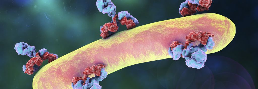 Arsanis Adimab RSV monoclonal antibodies