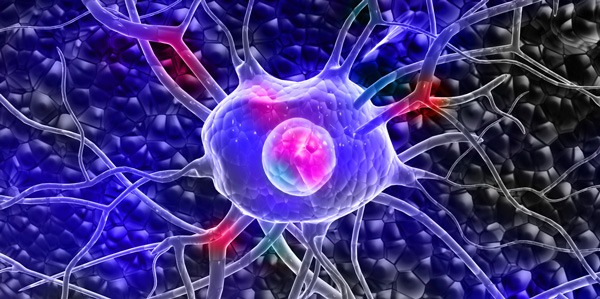 Prexton Therapeutics Series B Forbion