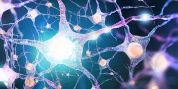bidirectional neuroprosthesis university of geneva unige