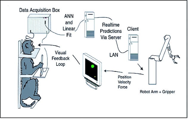 brain computer interface robotic prosthesis