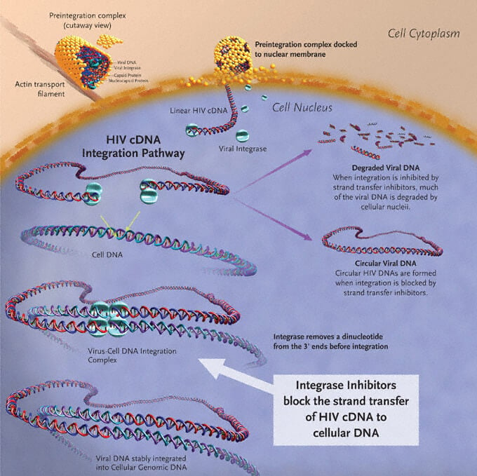 integrase inhibitor gsk gilead hiv dueal therapy