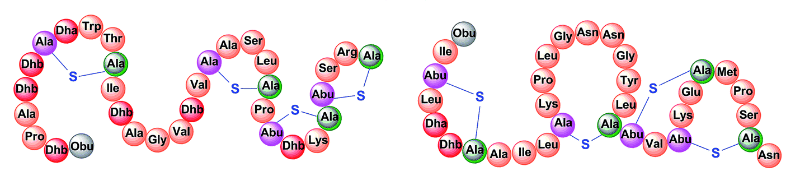 lanthipeptides Lanthio Pharma Mosphosys