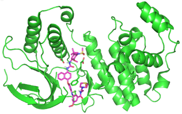 NSKI (pink) bound to its target kinase (green)