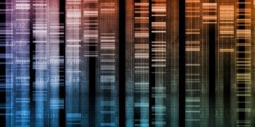 Genome Sequence - Human Genome Update Feature Header