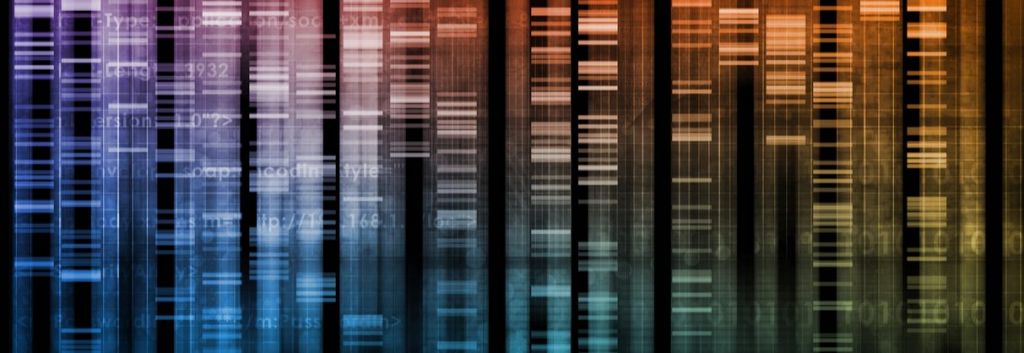 Genome Sequence Human Genome Update Feature Header