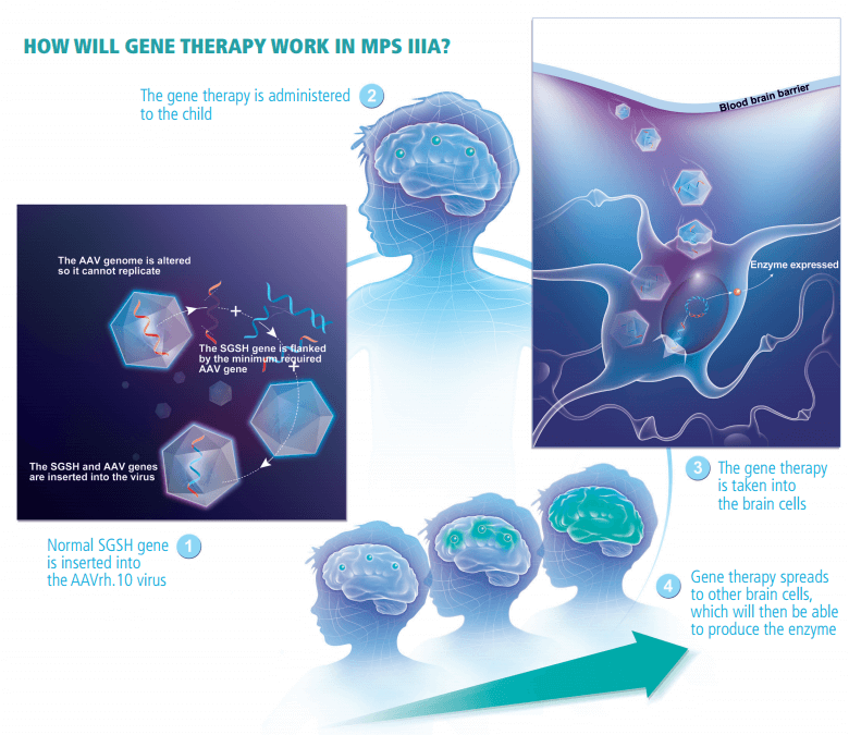 Lysogene-Gene-Therapy