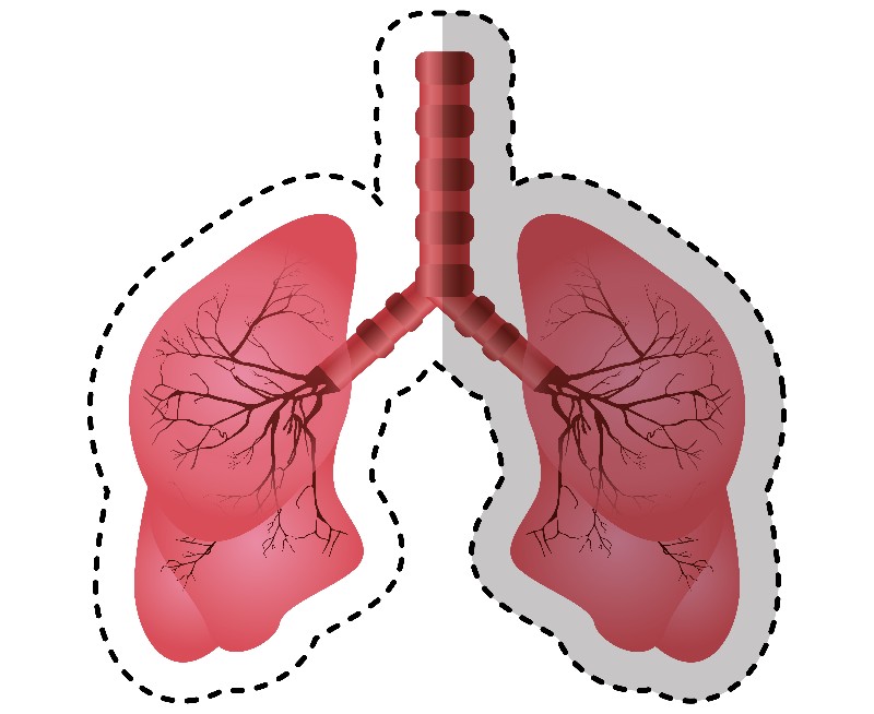 breath therapeutics sofinnova lung disease