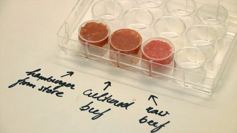 cultured meat lab-grown meat market 2020