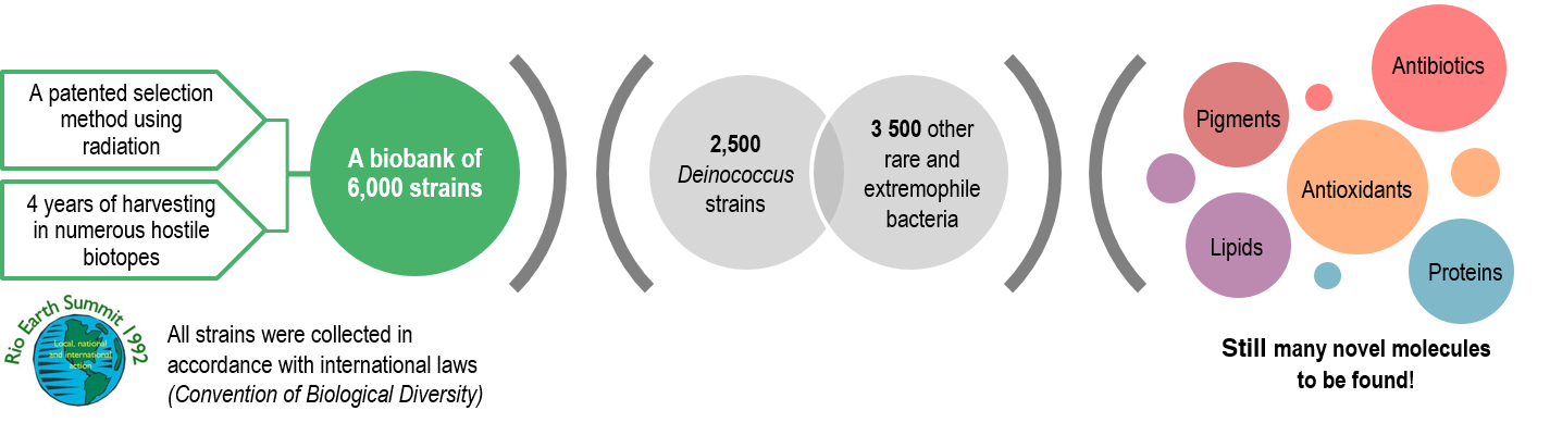 deinove biobank deinococcus bacterial compounds