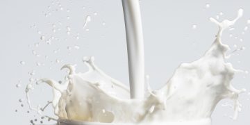 milk bioplastic lactips casein