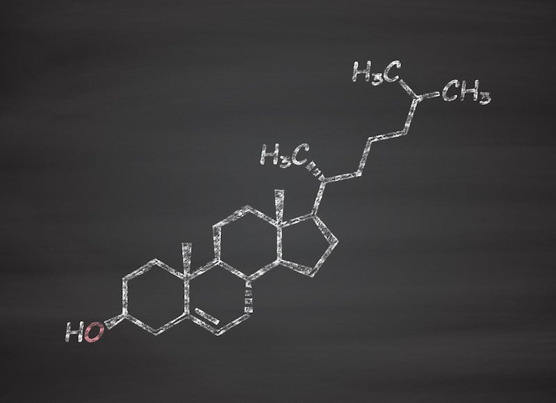 The lipid, cholesterol