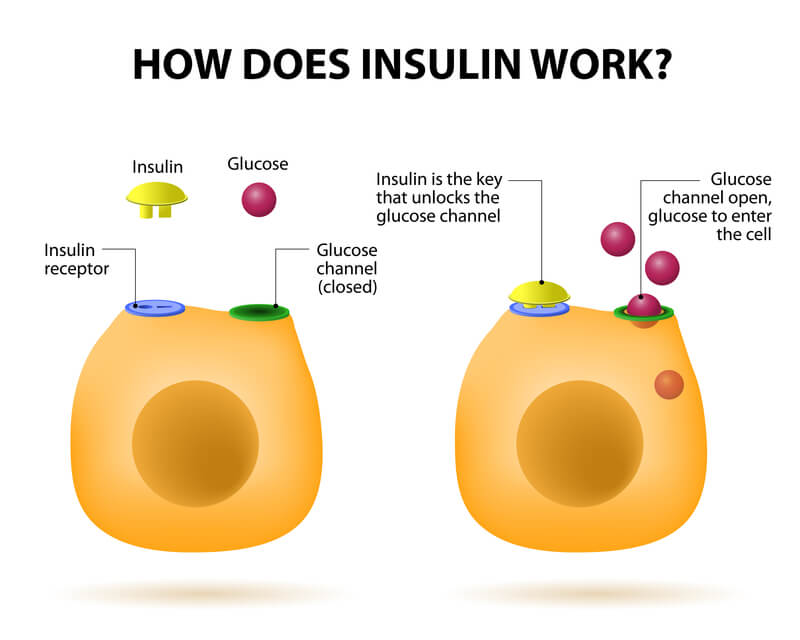 Diabetes-Insulin