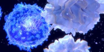 checkpoint inhibitors ose immunotherapeutics cancer cells