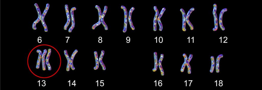 Illumina NIPT Launch EU