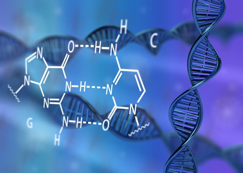 DNA data storage